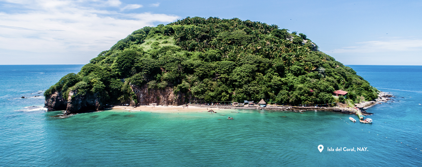 Lugares y actividades que no puedes perderte en Vallarta