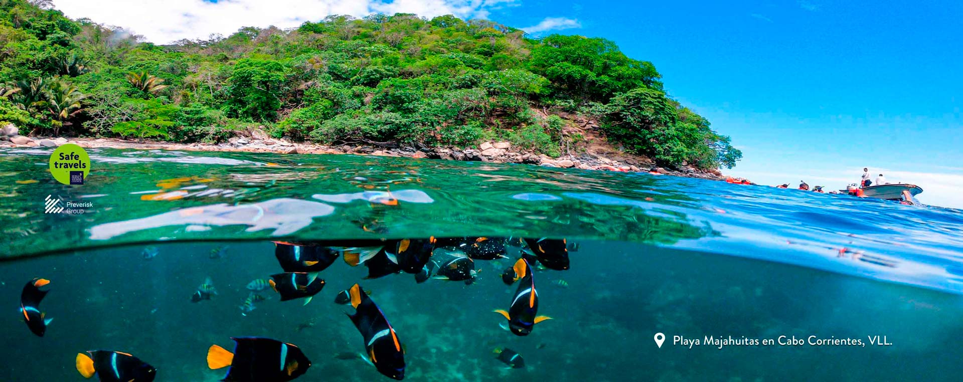 5 actividades increíbles que debes vivir en Vallarta